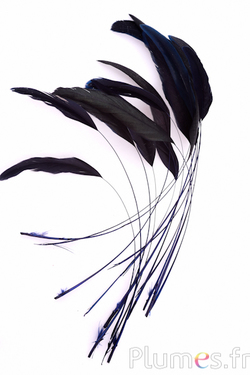 Coquetip - 20-25 cm - bleu nuit-noir